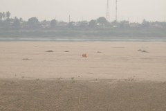 IMG_6676