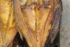 IMG_6691