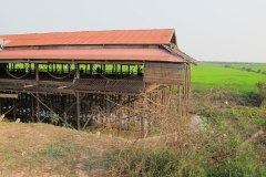 IMG_5575