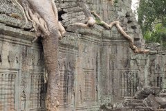 IMG_5767