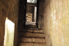 IMG_5869