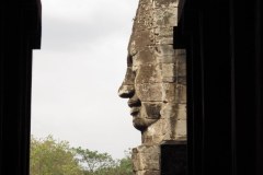 IMG_5884