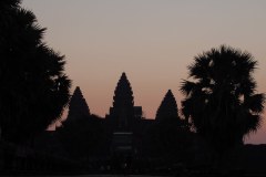 IMG_5922
