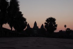 IMG_5924