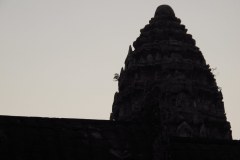 IMG_5953