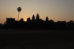 IMG_5988