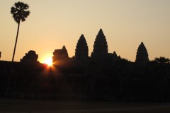IMG_6011