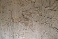 IMG_6053