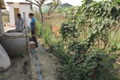 IMG_4689