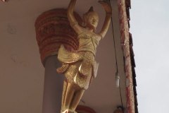 IMG_4706