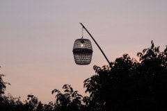 IMG_4958
