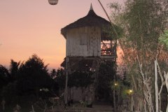 IMG_4963