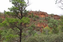 IMG_2974