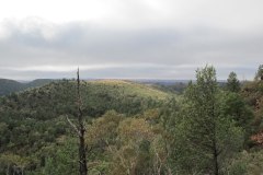 IMG_2978