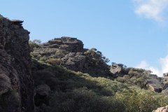 IMG_3048