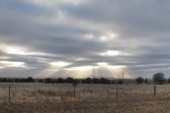 IMG_3084