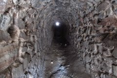 IMG_3175