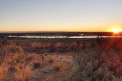 IMG_3219