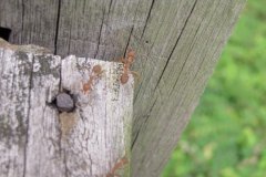 IMG_9641
