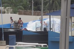 IMG_9787