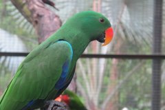 IMG_8537