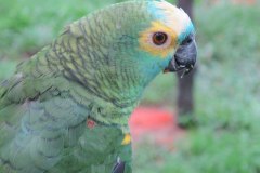 IMG_8538