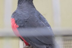 IMG_8547