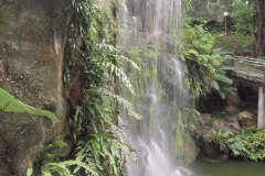 IMG_8548