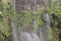 IMG_8552