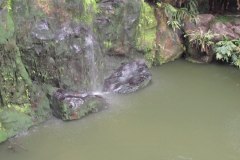 IMG_8553