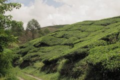 IMG_8678