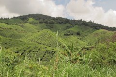 IMG_8680
