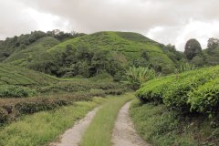 IMG_8693