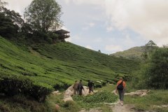IMG_8700