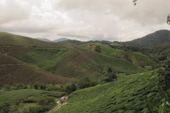 IMG_8714
