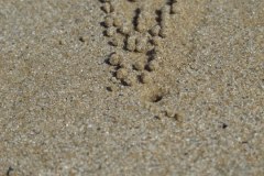 IMG_3705