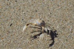 IMG_3707