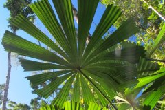 IMG_3773