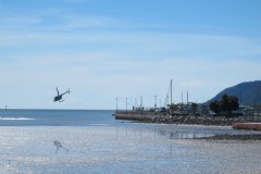 IMG_3832