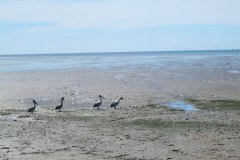 IMG_3836