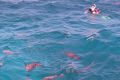 IMG_3967