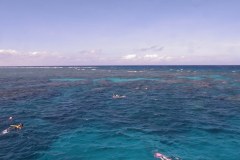 IMG_3969