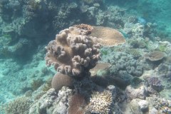 IMG_4036