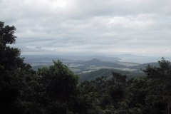 IMG_4103