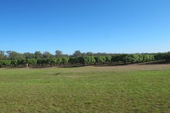 IMG_4109
