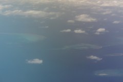 IMG_4205