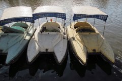 IMG_3616