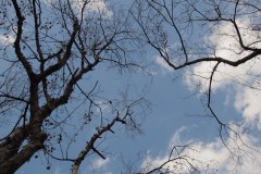 IMG_3629