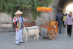 IMG_3682