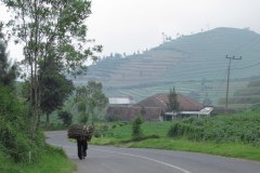 IMG_1055